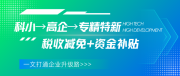 一文打通企业升级路!科小→高企→专精特新全路径+小巨人指南,工科信(深圳)帮企业少走3年弯路